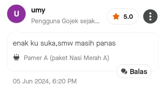ulasan pengguna gojek 1